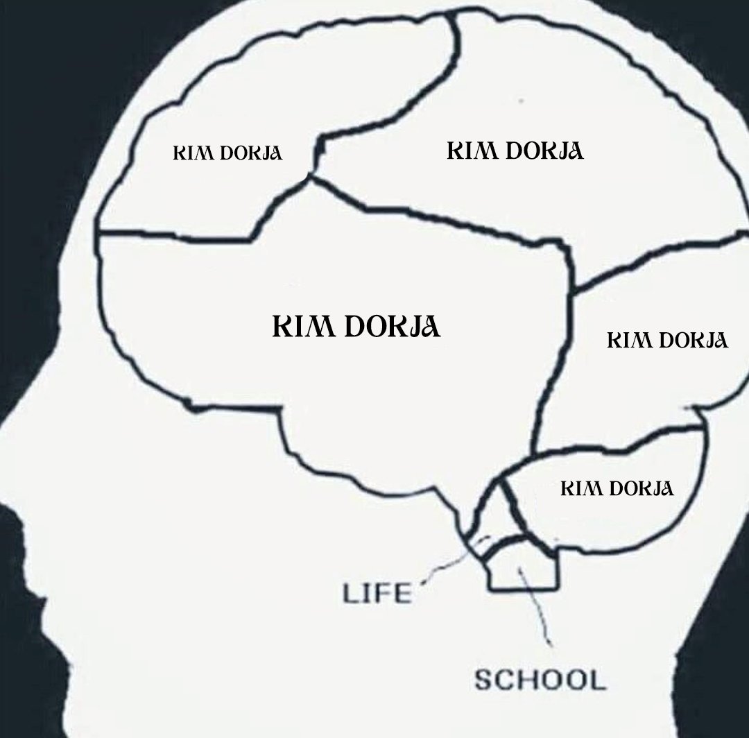 My brain looks like this 24/7