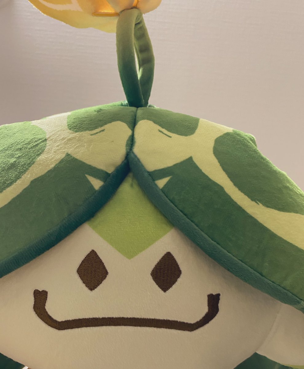 アランマ！！！！！！！！！