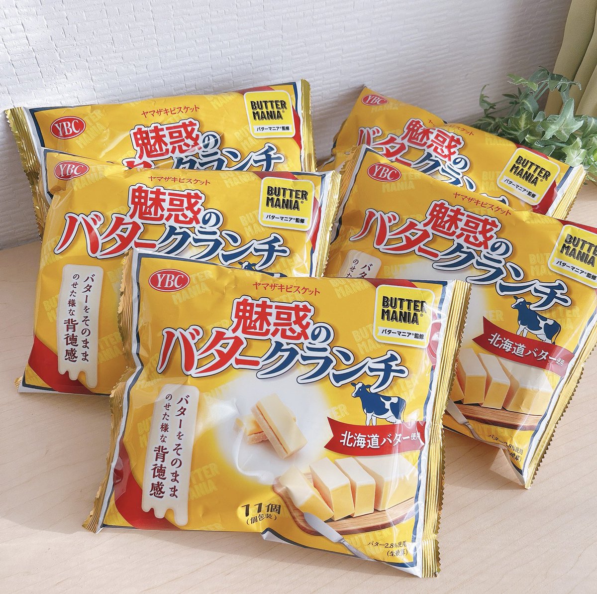 ビスコさん専用 N on X