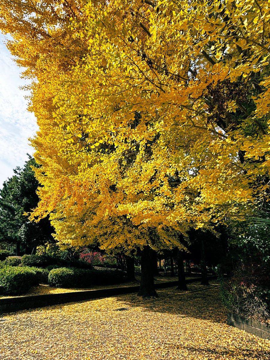 happy-a7 (@happya73) / Posts / X