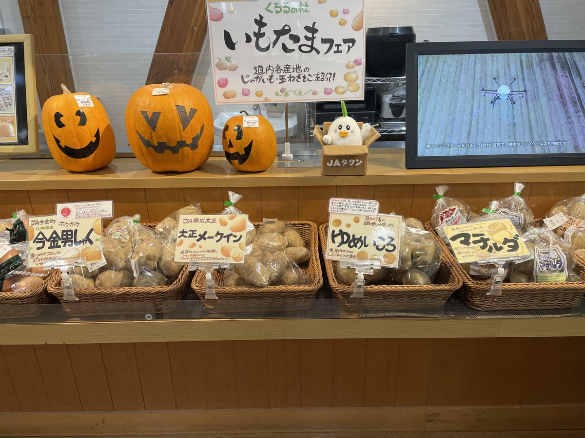 おれんじぱすた (@orange_remon) / Posts / X