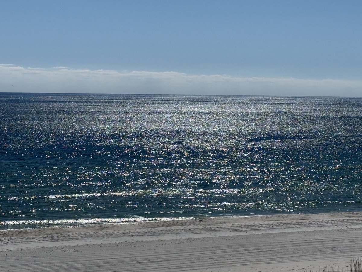 Bob Oster, PhD tweet media