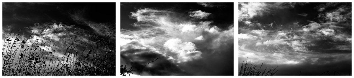 Particleclouds's tweet image. mastodon.social/@contemporarya… #WOWSignalPhotography © #Magazine #MoMAPS1 #Contemporaryphotography #Quakers #Photography #Clouds #Universe #Sky #X #Scientology #Mormons #Real #雲 #Artnews #News #Life #MoMA #UAP #SETI #Universe #Culture #Art #Arte #WOWSignal #WOWシグナル #WOW #Nature