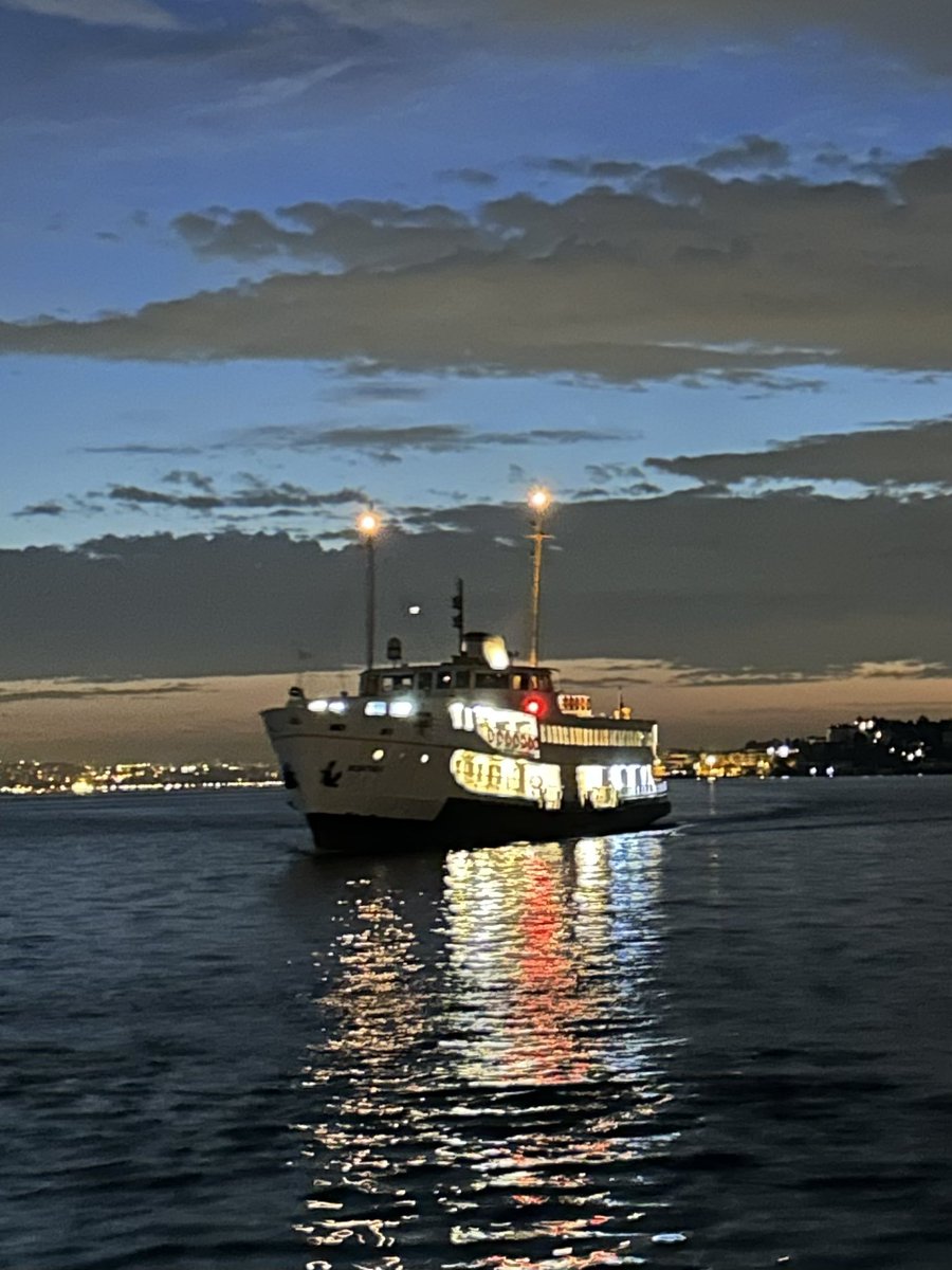 GOETHE’nin felsefesi ile #Bağlantısallık Bilimi, Yaşamdaşlık Modeli: Örtüşmeler ve Ayrımlar

Doğanın Canlı Bir Bütün Oluşu (Örtüşme):
Goethe, doğayı mekanik bir düzen olarak değil, kendini sürekli olarak üreten ve dönüştüren canlı bir organizma olarak görür. Onun “Urpflanze”