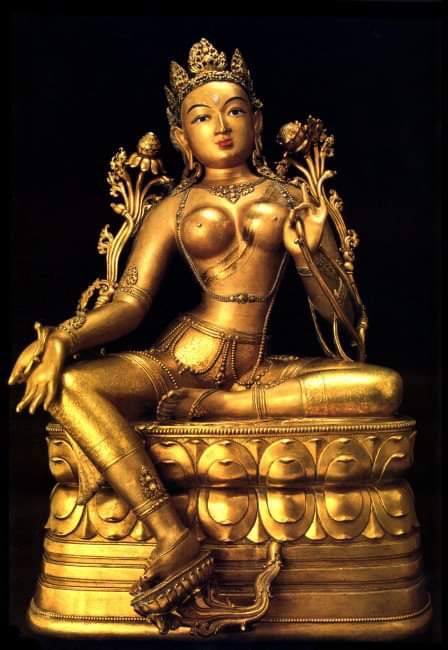 40 насандаа ухаарсан 10 зүйл:

1. Сайн хань бол амьдралдаа гаргаж болох хамгийн чухал шийдвэрүүдийн нэг. Амьдралын туршлагаас харахад хамдтаа асуудалыг даван туулж, шийдэж бие биенээ ойлгож сурсан хосууд нь илүү амжилттай яваа харагддаг. Салья гэдэг үгийг толгойноосоо авч хая.