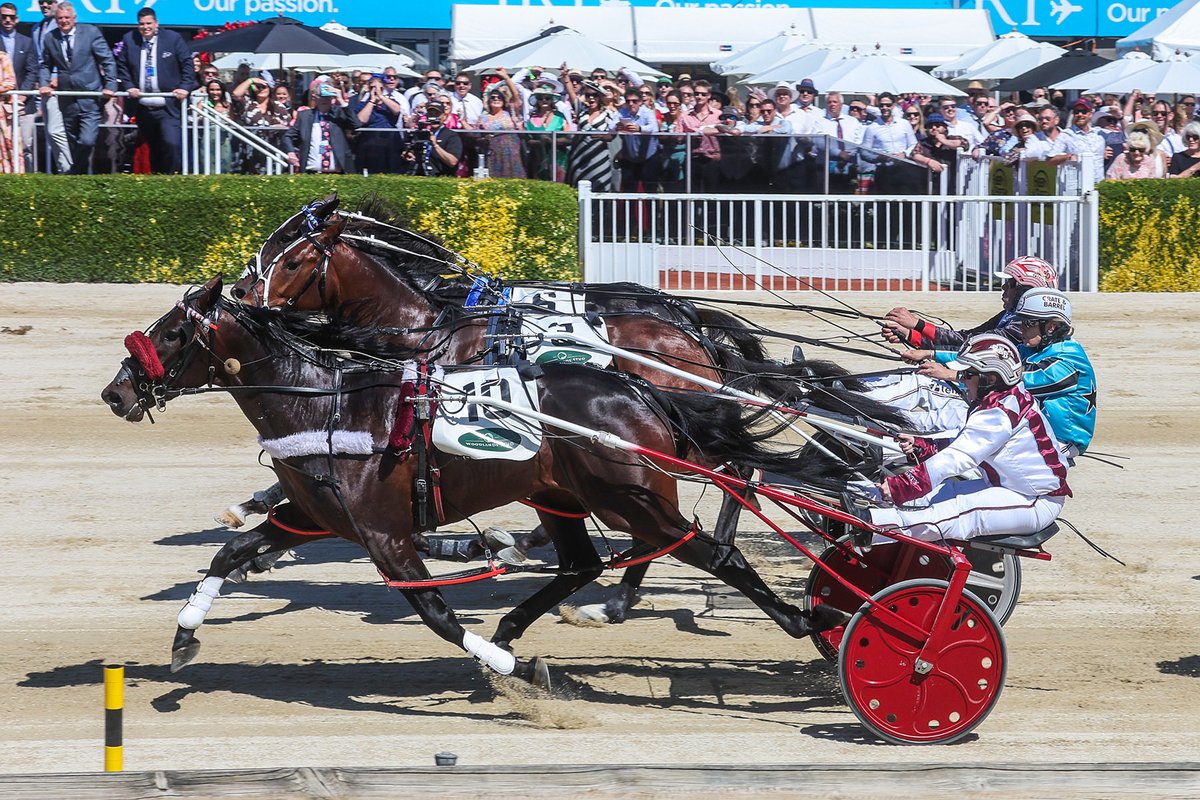 NZ Sires’ Stakes Board tweet media