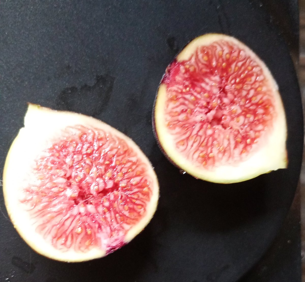 ハニフラ🍯🌻 on X