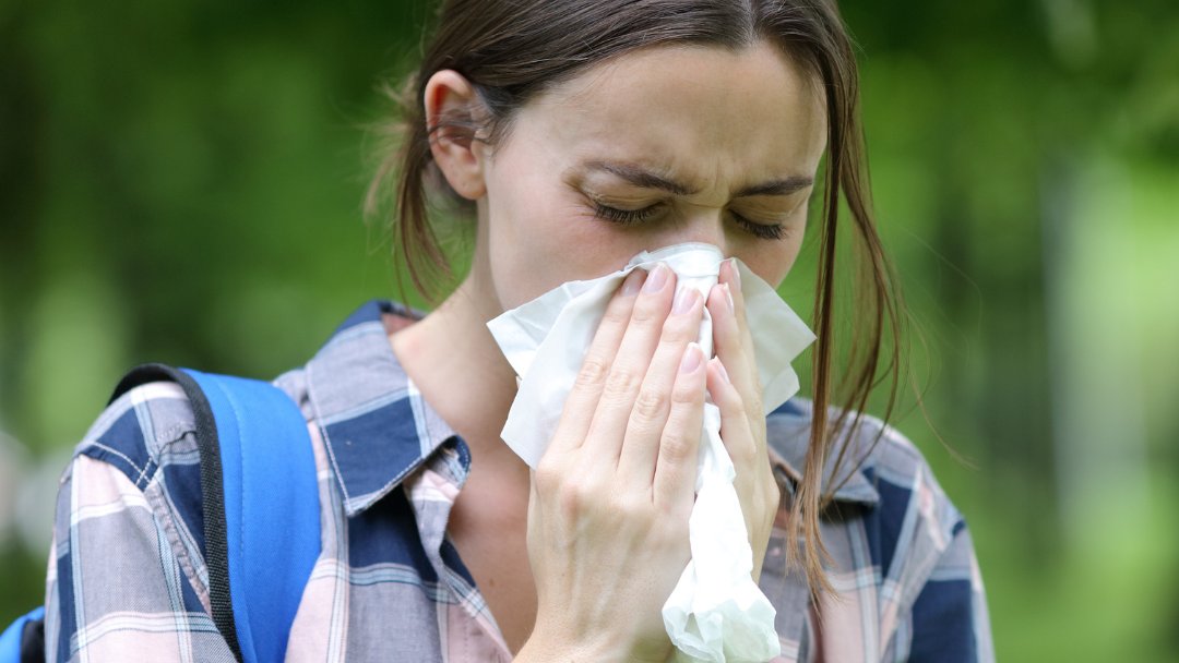 National Allergy Centre of Excellence tweet media