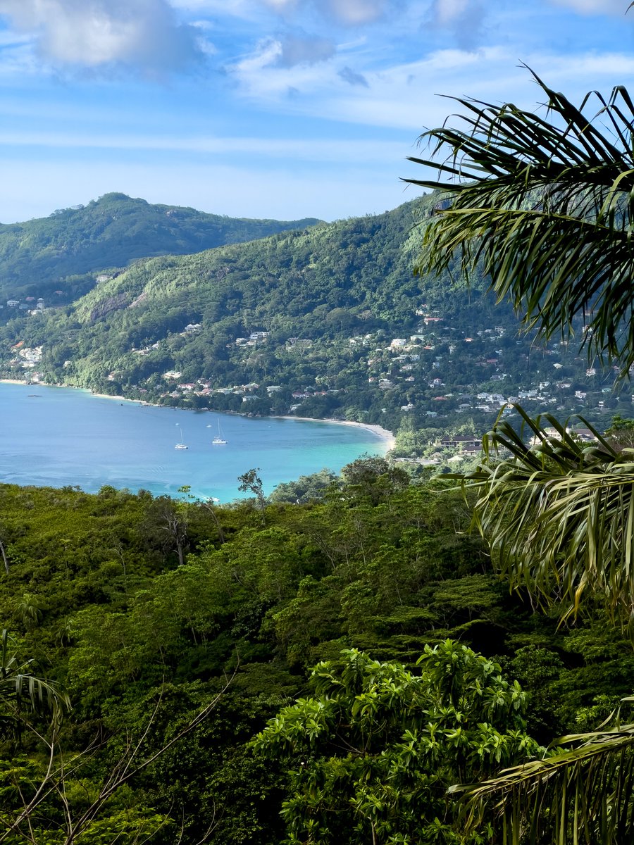 AxelKoster's tweet photo. Apply #TODAYWITHUS
Personal Assistant to General Manager – Private Island Resort #Seychelles
https://t.co/1MQTTdvyDY
House Manager- #Melbourne
https://t.co/SNqDD5ubJC
#Hiring #AxelJob #Jobs #Tuesday #News https://t.co/8woXw9YAdi