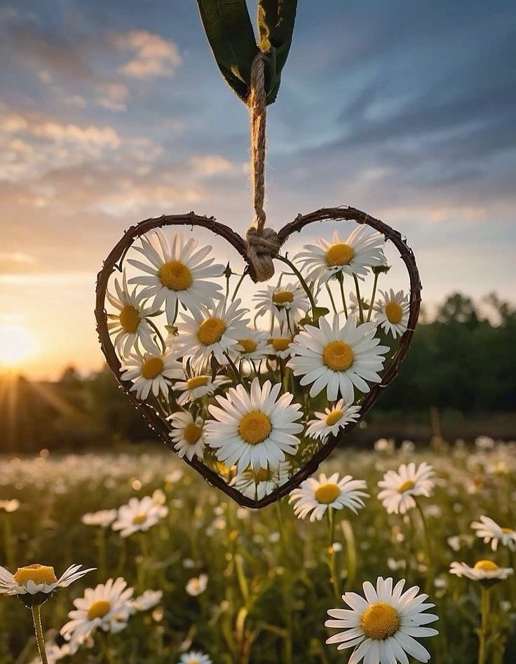 .

اللهُم النصيب الجميل من كل شيء." ..🤲🏻🧡

       #صباح_الخير