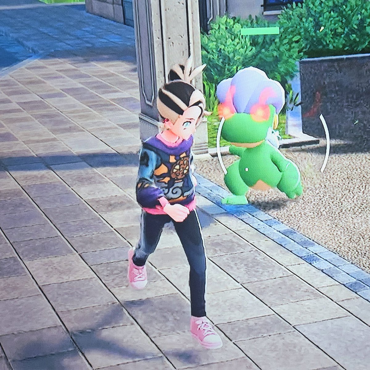 ShiningDanny1's tweet photo. Shiny alpha Bagon while doing bench resets for Fennekin!💚✨️
#legendsza #za #fullodds #fulloddsshiny #switch #switch2 #shinyalpha #alpha #alphabagon #shinyalpabagon #shiny #pokemon #shinypokemon #bagon https://t.co/NhnZWGXVKH