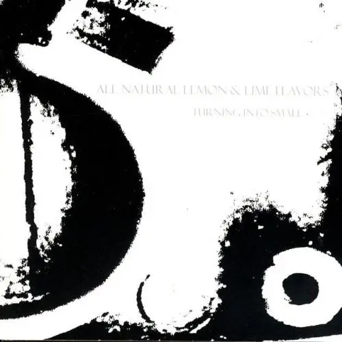 ▼11/11(火)新譜入荷情報
・ALL NATURAL LEMON &amp; LIME FLAVORS / TURNING INTO SMALL (LP)

★初回完全限定生産★帯付き
USシューゲイズの革新的作品!90年代末期の傑作アルバムが世界初リイシュー!
diskunion-shinjukualternative.blog.jp/archives/28835…