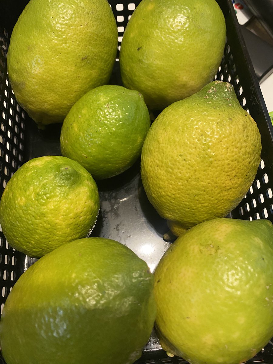 自家採れ 浦賀レモン🍋🍋🍋 皮が薄く最高の出来映え☺️