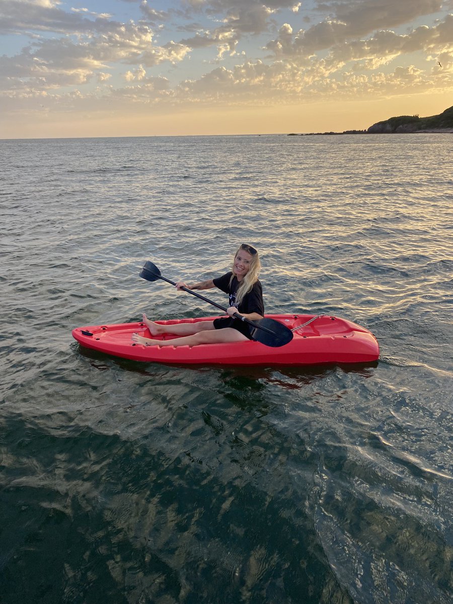 Sailing Company tweet media