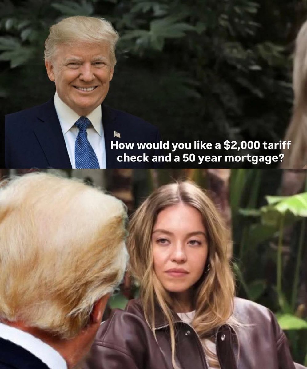 Steve (@shit_haus_mouse) on Twitter photo 