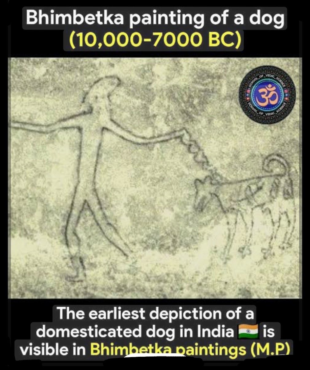 Ajay Joe tweet media