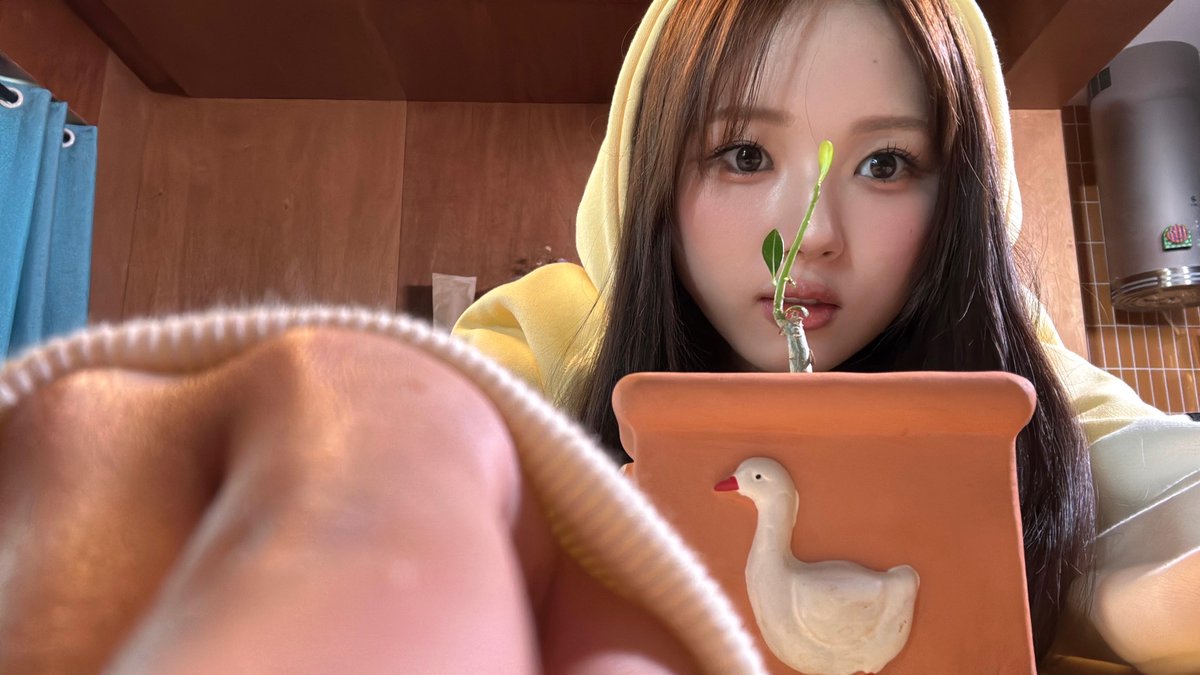 triplescosmos's tweet image. 가로사진 모아보기 💛🌟

#tripleS #트리플에스 #トリプルS
#トリプルエス #トエス
#JiWoo #지우 #ジウ