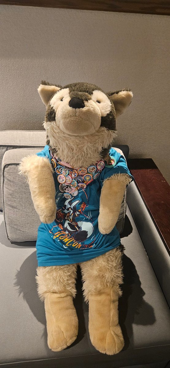 JonathanRaccoon's tweet photo. #pawcon did anyone else have pictures of my husky plush i would love to see them ๐ https://t.co/9fO969JNRl