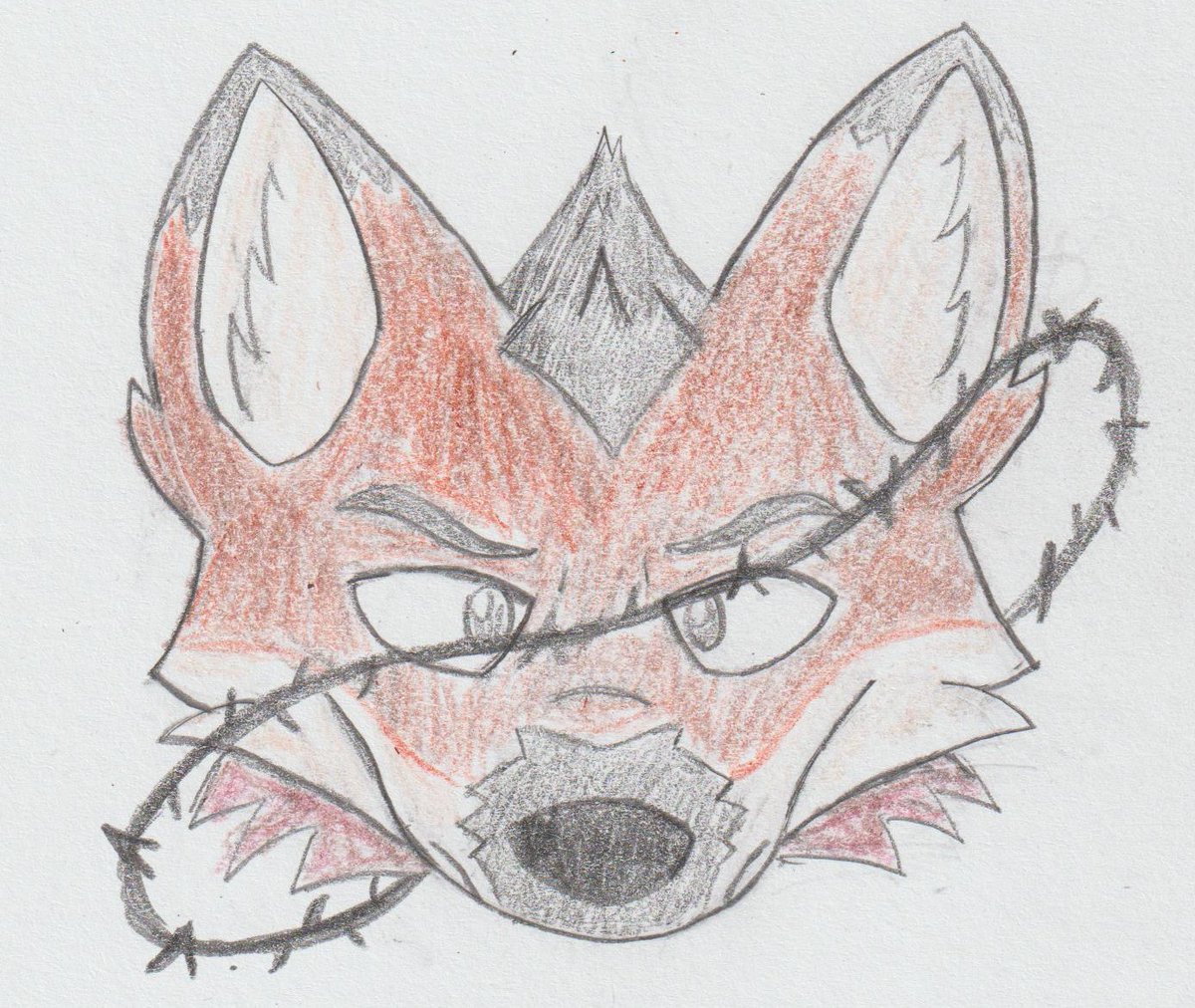 Cer0_20S's tweet image. I had to look up what animal you were because at first I thought you were a Coyote. Have a #doodle. The barbed wire is cool. Does it float around and spin or is it stationary?