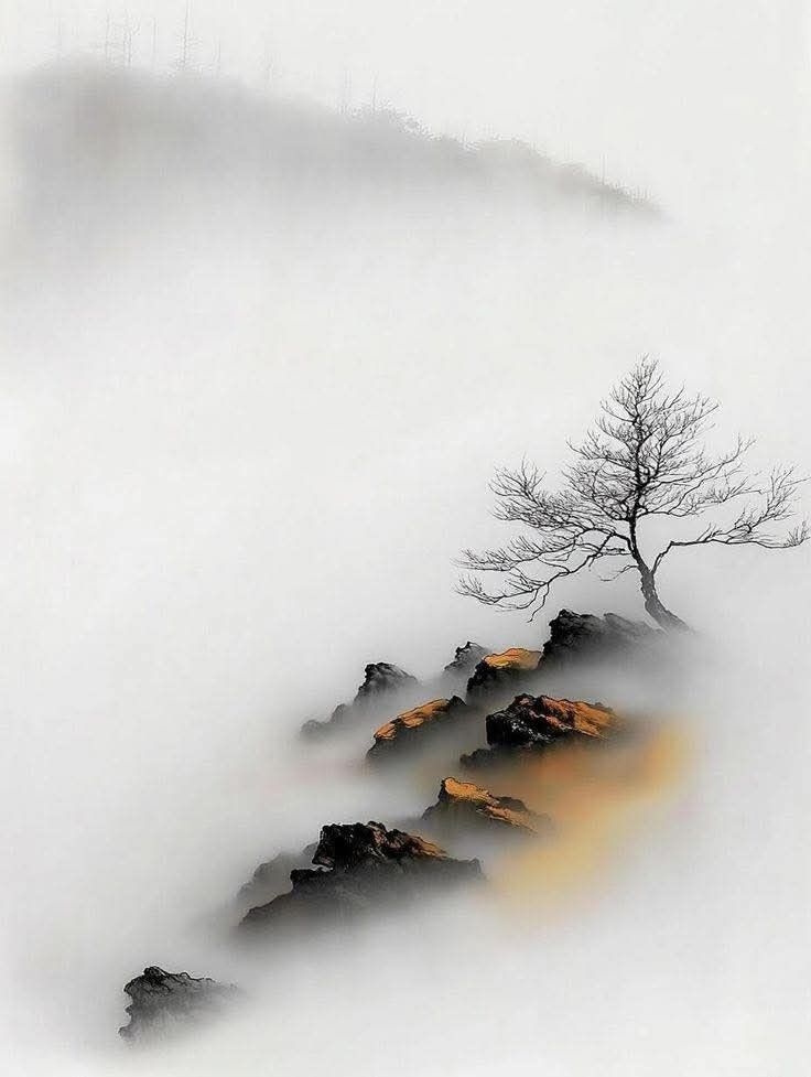 rs_artecasa's tweet image. Tuesday 🌹 
Nov 11th-25
#Morning