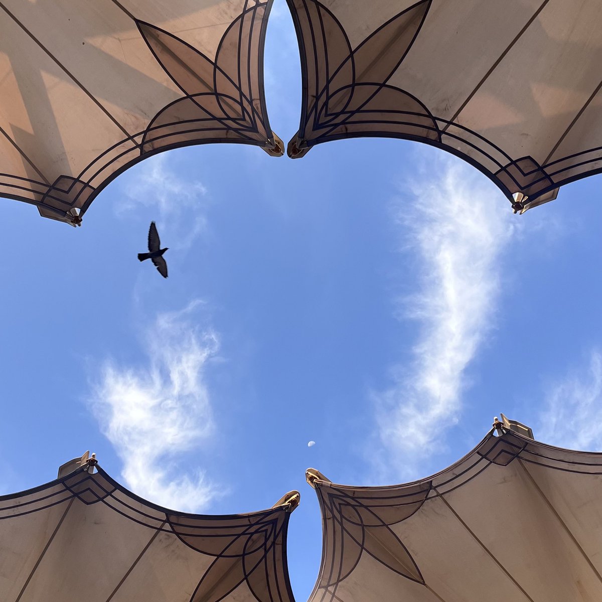 صباح الخير🤍

نسايم شتوية لا تليق باختبار النحو والله