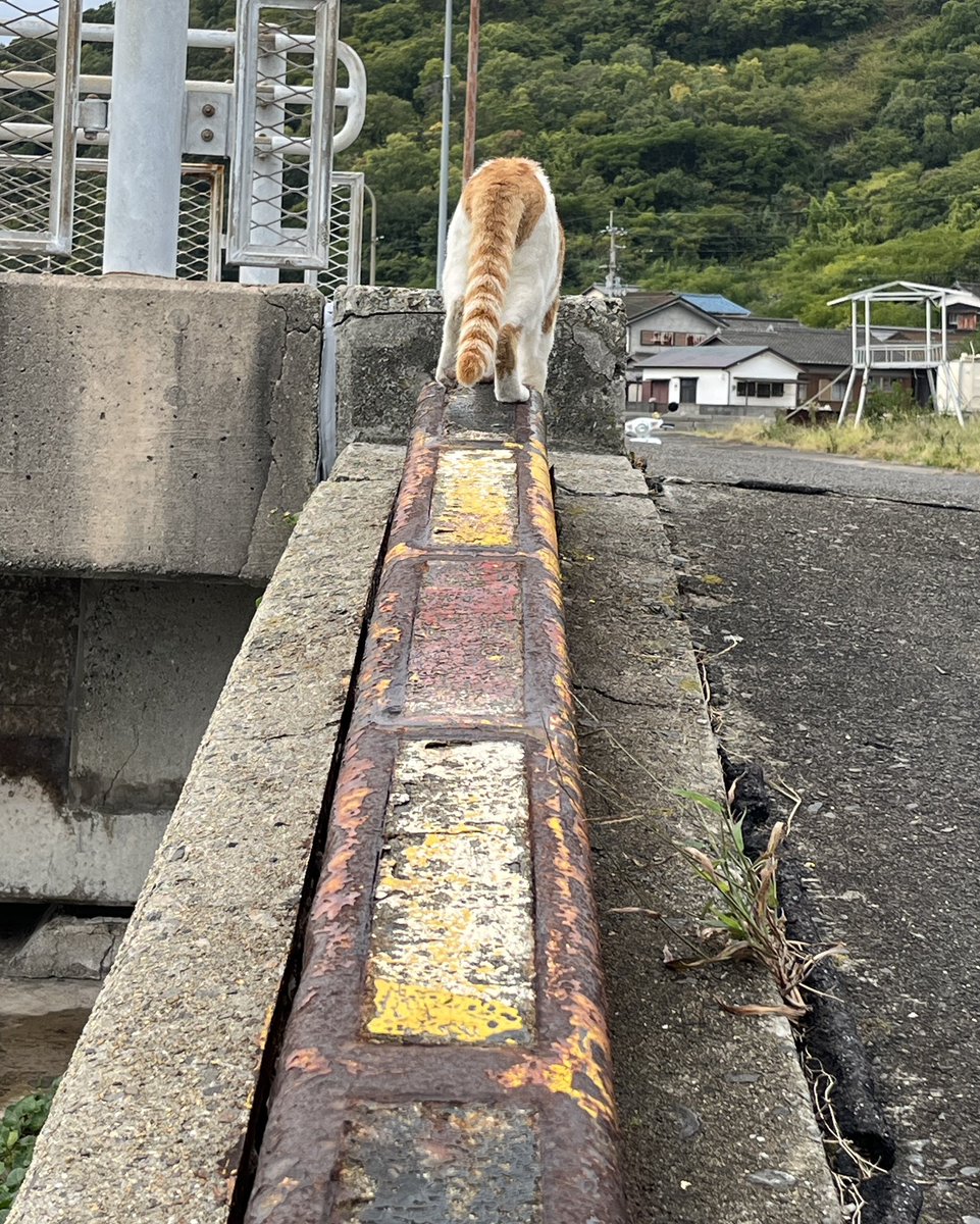 印鑑デザイナー 城山謙一 (@siroji2001) / Posts / X