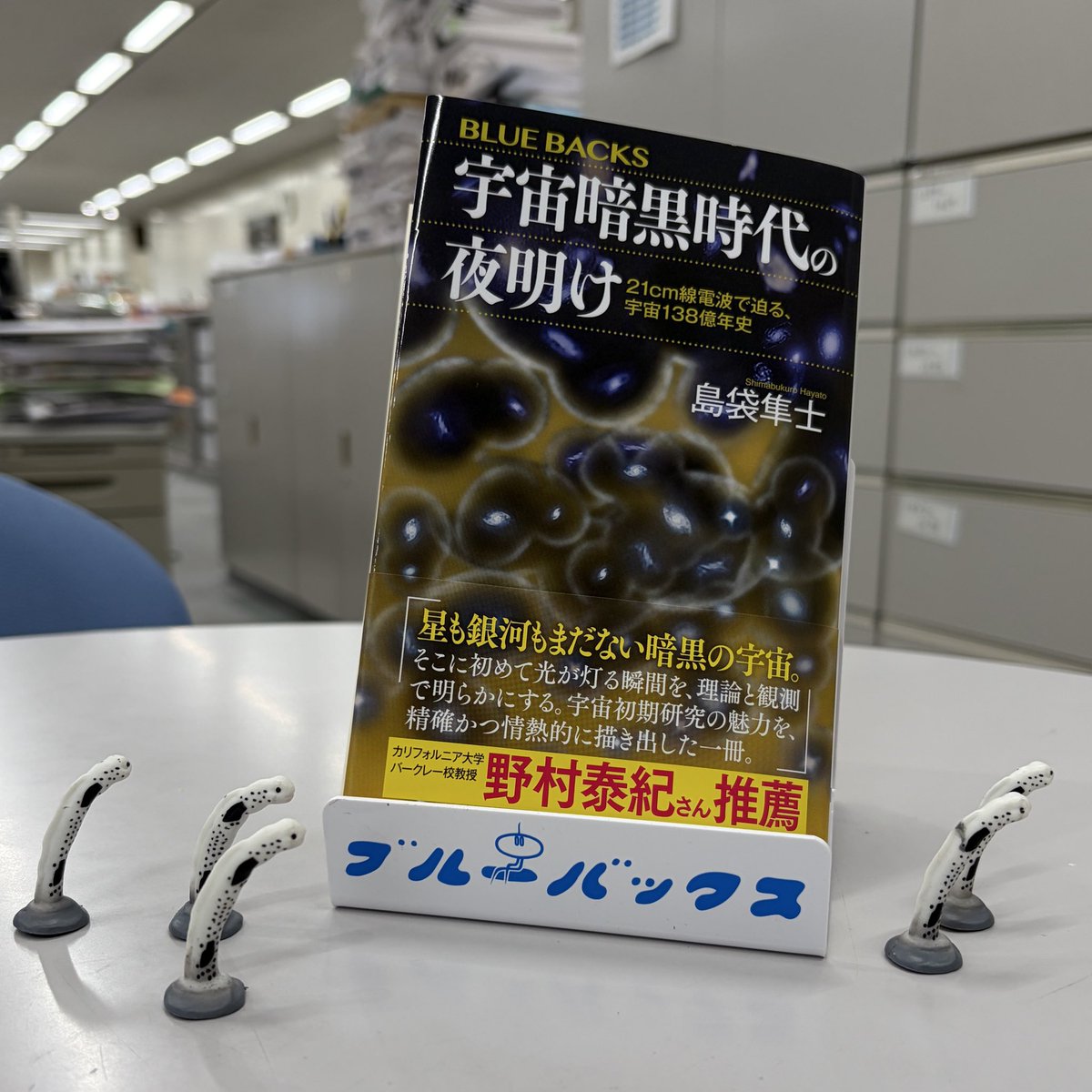 bluebacks_pub's tweet image. 今日11月11日は【チンアナゴの日】

……とは無関係ですが、11月刊『宇宙暗黒時代の夜明け』の一部抜きが出来ました。これから製本です。

電波天文学の第一人者・島袋隼士さんによる、宇宙暗黒時代、再電離期など最先端研究について熱い解説をお届けします！

ぜひお楽しみに！