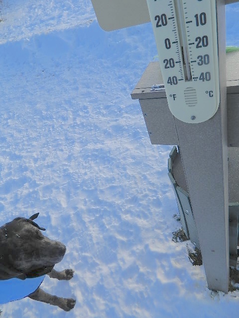 <a href="/dora_nlk/">Dora K</a> <a href="/4PupDad/">4 Pup Dad (minus 3)</a> <a href="/TinyPearlCat/">@Tiny Angel Pearl</a> <a href="/3phibotticelli/">Sassy& Angels Sadie & Phi</a> <a href="/TJS12145/">TJS</a> <a href="/MizzBassie/">🇺🇦MizzBassie</a> <a href="/Bea_Bells/">Bea</a> <a href="/LilyLuWhoT/">Lily💔Squirt Walter Winston Big Oranje Jodie</a> <a href="/SquirtTheCat/">SquirtMcSquirtface with kittens Trickle & Matilda</a> <a href="/SeattleP/">P & Angel Jeego</a> <a href="/GatorJailbird/">RealFakeGator inJail</a> <a href="/indulgedfurries/">Indulged Cats 🐱 (Raven)</a> <a href="/SirLongpaw/">Angel Sir Pickle Longpaw🐾🇨🇦</a> <a href="/kittehboi/">Mr. Breeze 🌈1/2/2024 🥓Breeze Bacon</a> <a href="/TiggyBean/">TiggyBean</a> <a href="/DCKitty/">AngelDominique 🌻🇺🇦</a> <a href="/Slinky_The_Cat/">Slinky The Replicant 🦈❌♠️🏴‍☠️⚛️🏁</a> <a href="/moothemousecat/">miss e moo</a> <a href="/SassytheMinPin/">SassyTheMinPin</a> <a href="/kittehdaboi/">Breezyboi</a> <a href="/SpookyTheMagni1/">Fall 'Ova Spooky (ft:Miso,Soya,Loki & Aries)</a> <a href="/snickersmommie/">Ann Moslowitz & Sky</a> <a href="/HarveyButtonNZ/">Harvey Button</a> <a href="/LolaMennola/">Lola 🌈 💔 21/07/25 💔🌈</a> <a href="/GeorgeTheDuck/">George The Duck</a> <a href="/kconlon1/">Kimberly Conlon</a> <a href="/CinniMini2/">Angels Cinni, Oreo, and Hydrox</a> <a href="/NewttheCat/">Newt Liver Shunt Cat</a> Nothing was too cold for mom &amp; me!