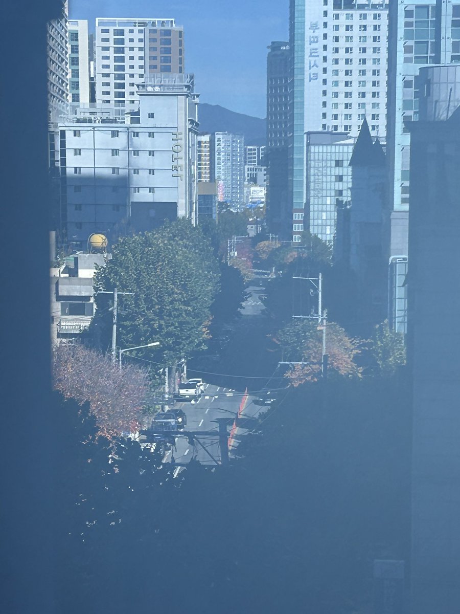 자유호소인 tweet media