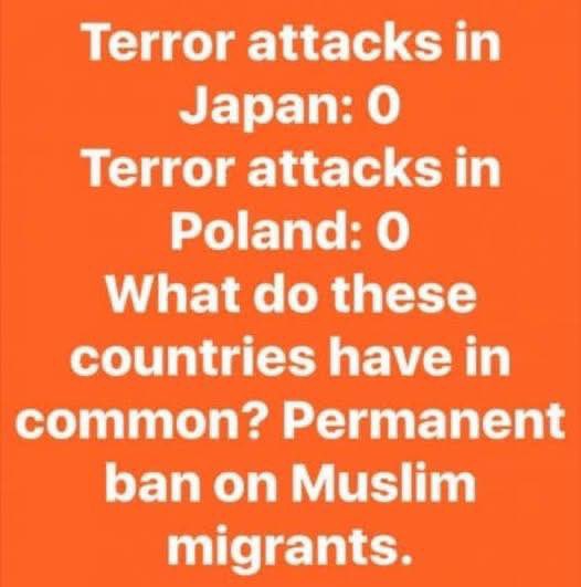 Bikini Beast (@bikinibeast) on Twitter photo 