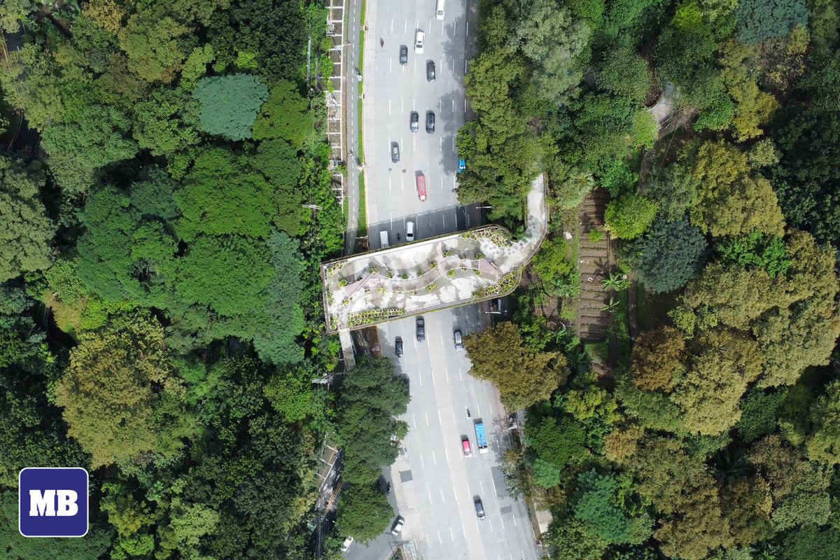 manilabulletin's tweet photo. LOOK: Photos show the newly built “Elevated Landscape Promenade” connecting Quezon Memorial Circle and the Ninoy Aquino Parks and Wildlife Center on Tuesday, November 11. 

The elevated walkway aims to provide a safe passage for pedestrians and cyclists traveling between the two parks. 

📷: Santi San Juan | MB