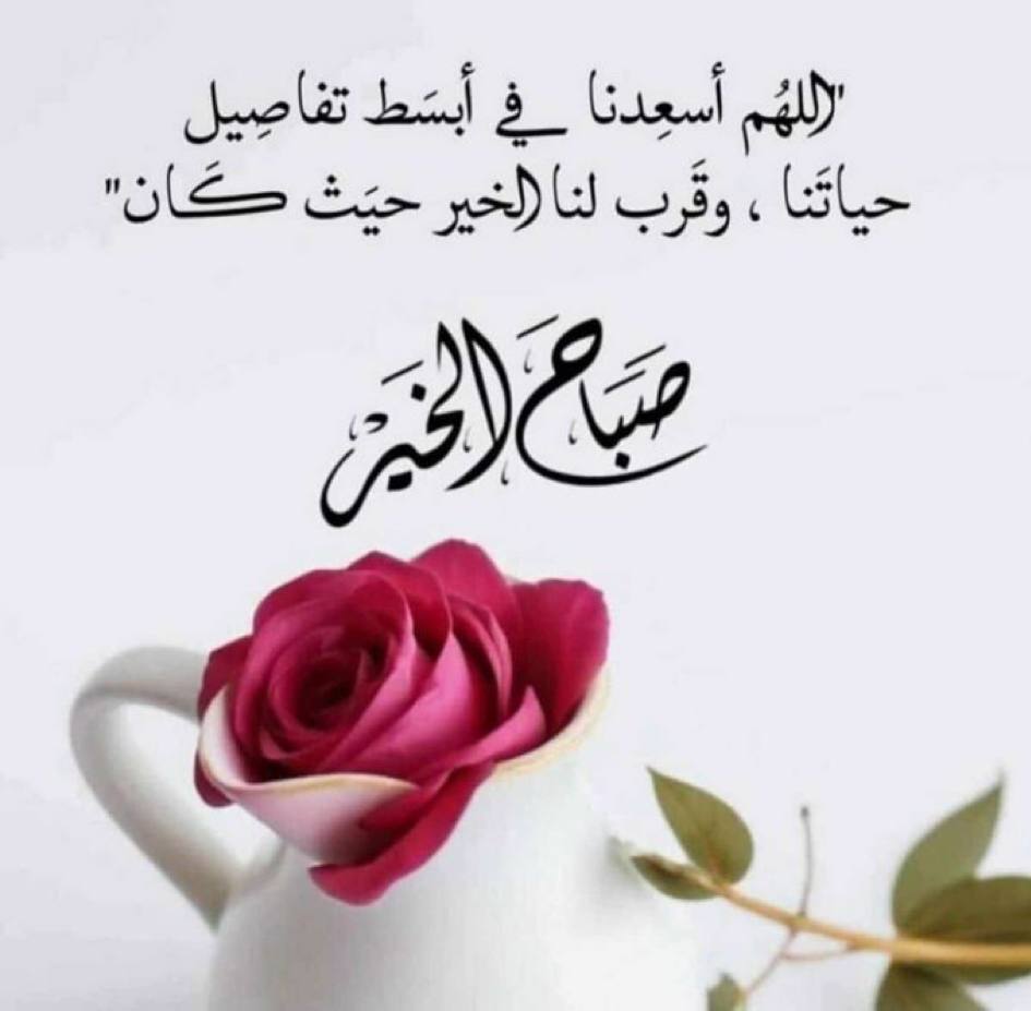 هناك أشخاص في حياتنا....
لهم عبير مثل الورد...
وهناك  أرواح رقيقه تشبه رقه الورد
تفيض احساس عندما تلامسها ندى 
أحساسنا....♡

⁧ #صباح_الأشياء_المُشرقة⁩