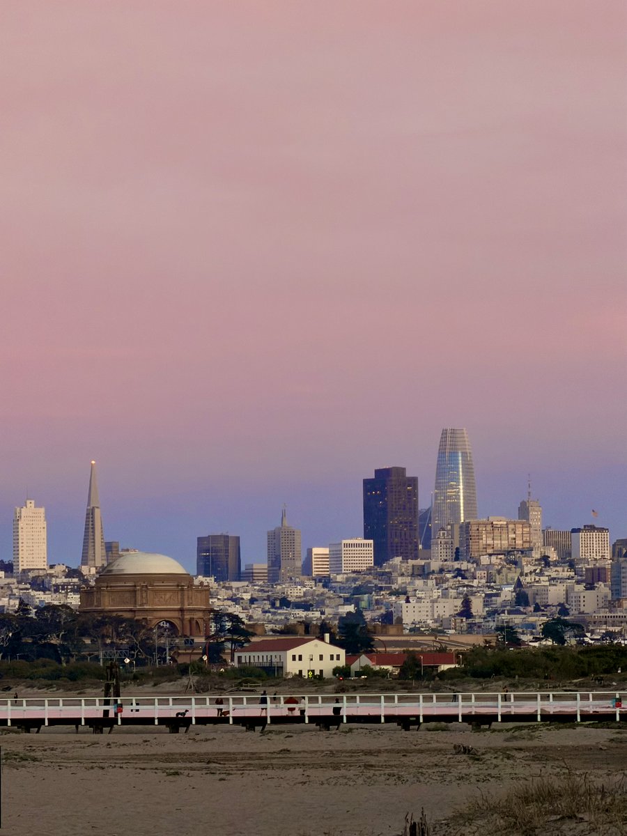 html5cat's tweet image. 🌆