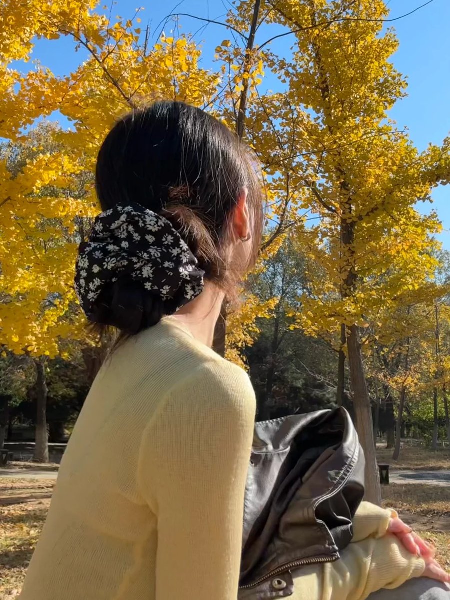 filejacket's tweet image. After a long period of time, I miss you all.