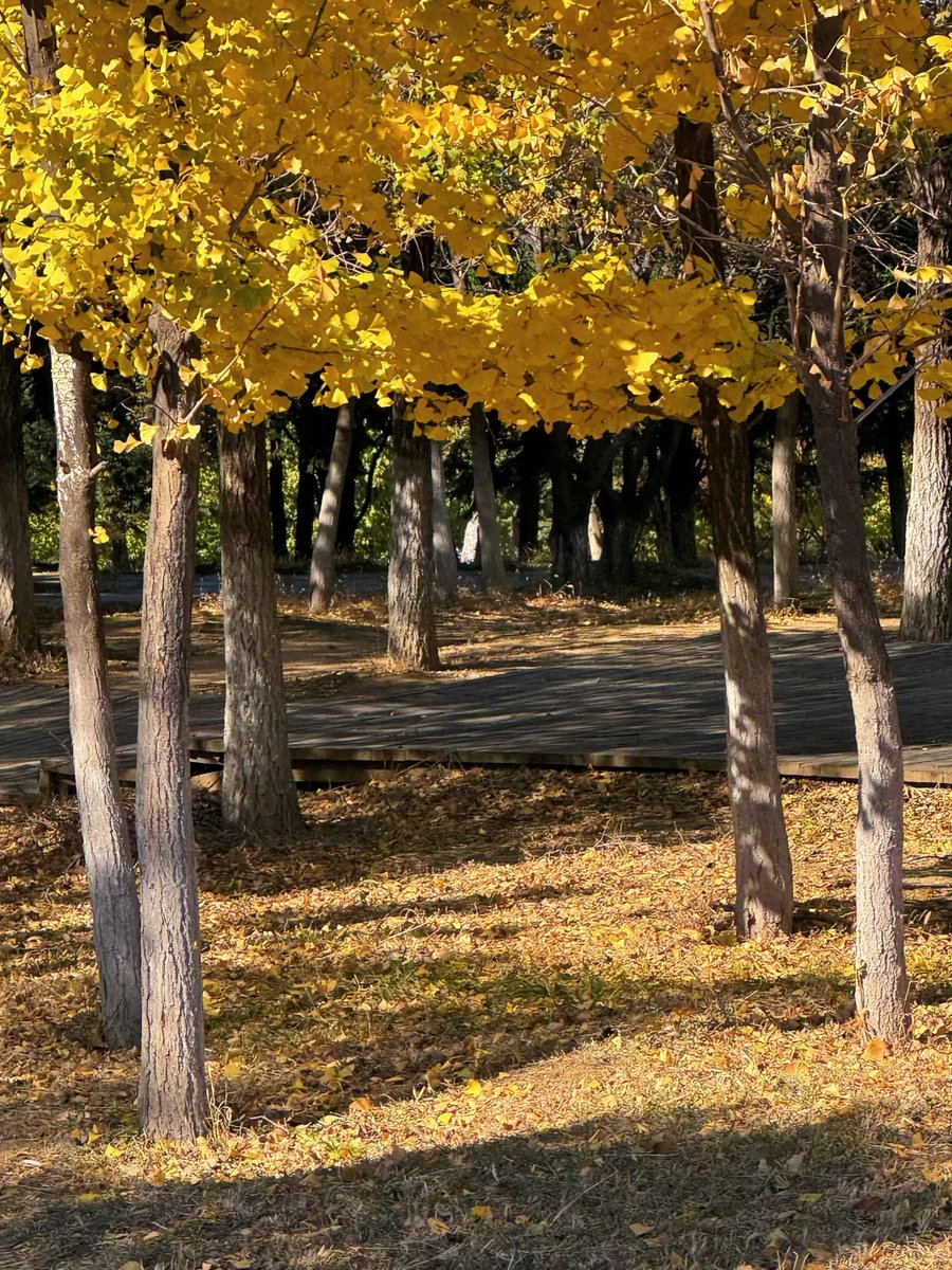 filejacket's tweet image. After a long period of time, I miss you all.