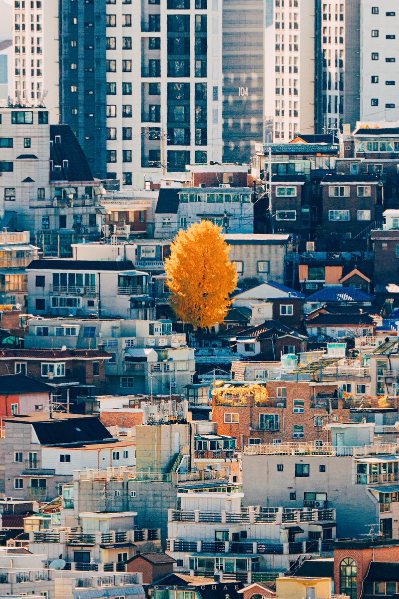 kchae's tweet image. 우리 동네 가을 경보등