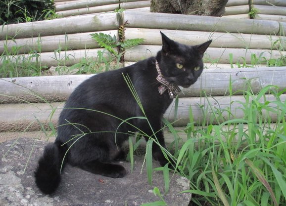 尾道市立美術館 on X