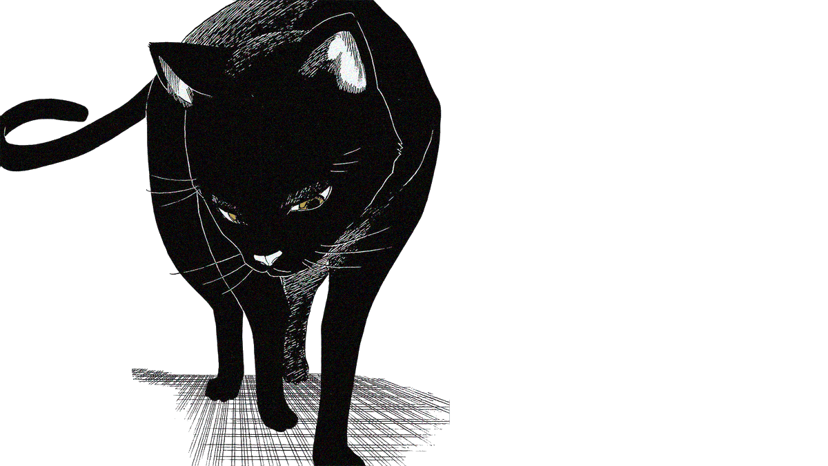 ᅠᅠᅠᅠ𝖄 𝘰͟ ͟𝘳͟ ͟𝘶͟ ͟𝘪͟ ͟𝘤͟ ͟𝘩͟ ͟𝘪͟. tweet media