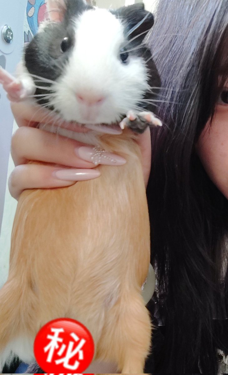 黄推福利内容 - 猫猫统治世界🐱🐈的精彩图片 福利姬猫猫统治世界🐱🐈分享的黄推图片4 - 网红私拍内容