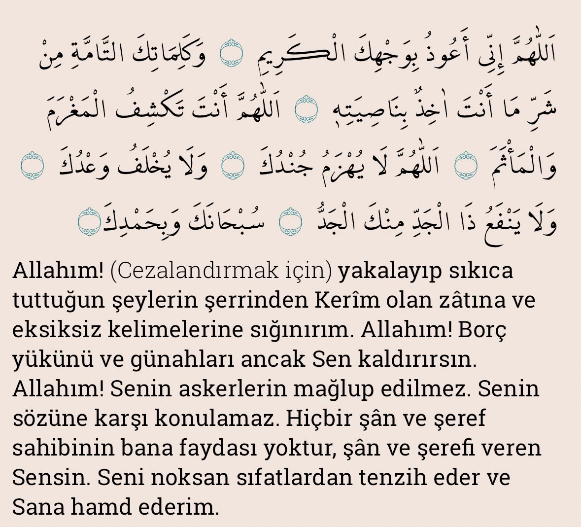 Amin ya Rabb

Efendimizin sav öğrettiği dualardan

#duâ #zikir #ibadet #evradışerif #müslüman