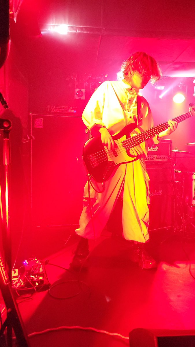 もふ＠松ぼっくり🐈️「丘」の民 ミズニ ウキクサ・東京ワンマンロス