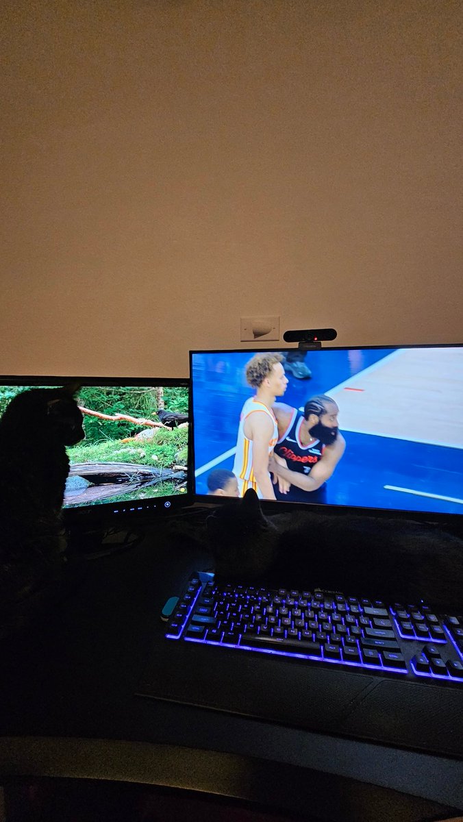 I got two cats alternating between watching squirrels and watching ball