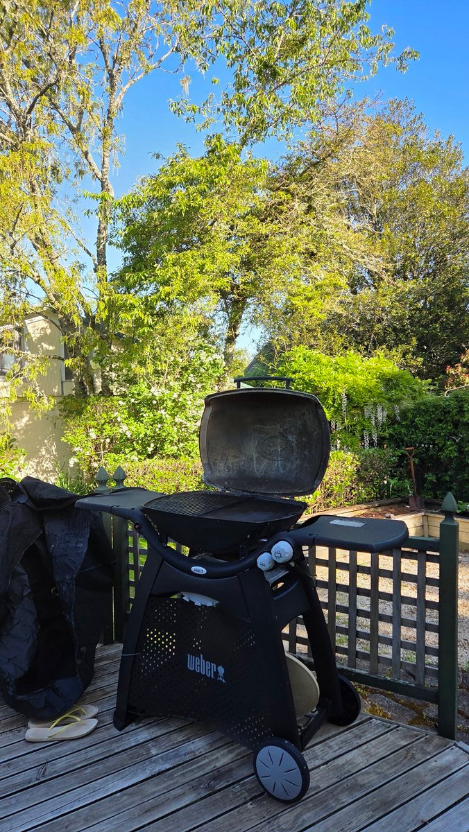 1st BBQ of the summer ☀️