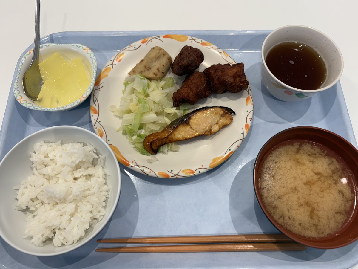 今日のランチは「鶏の唐揚げと鮭の塩焼き定食」🐔

おかず界トップ級のコンビ、毎日コレがいいです😭✨
#カウランチ #突撃企業の昼ごはん