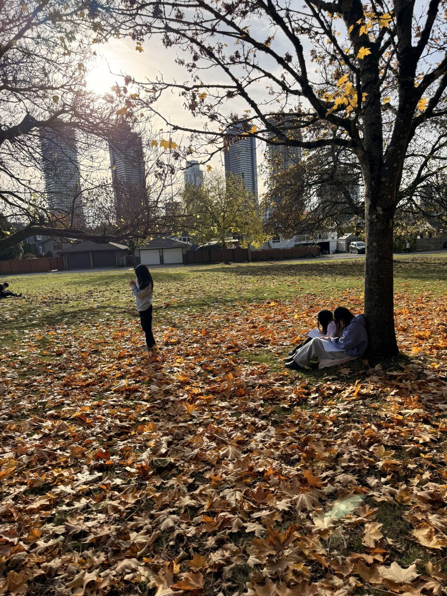 Julianna Cerminara tweet media