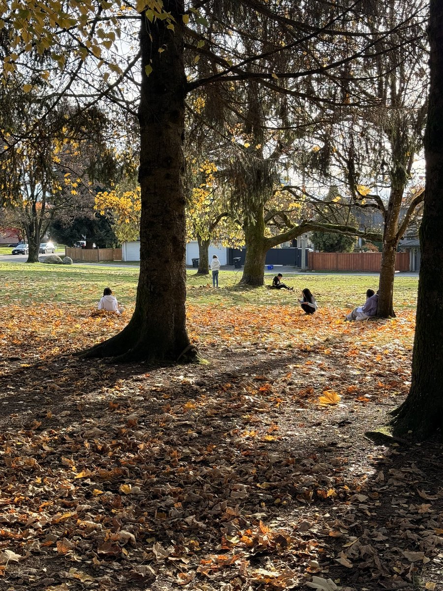 Julianna Cerminara tweet media