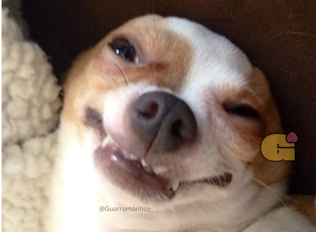 Guarromantico_'s tweet photo. *Yo despertándome en la noche*

Yo: que no sean las 7am
Reloj: 4:00am
Yo: https://t.co/nOtihePJXW