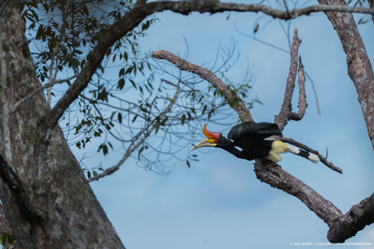 Hudzaqwan tweet media