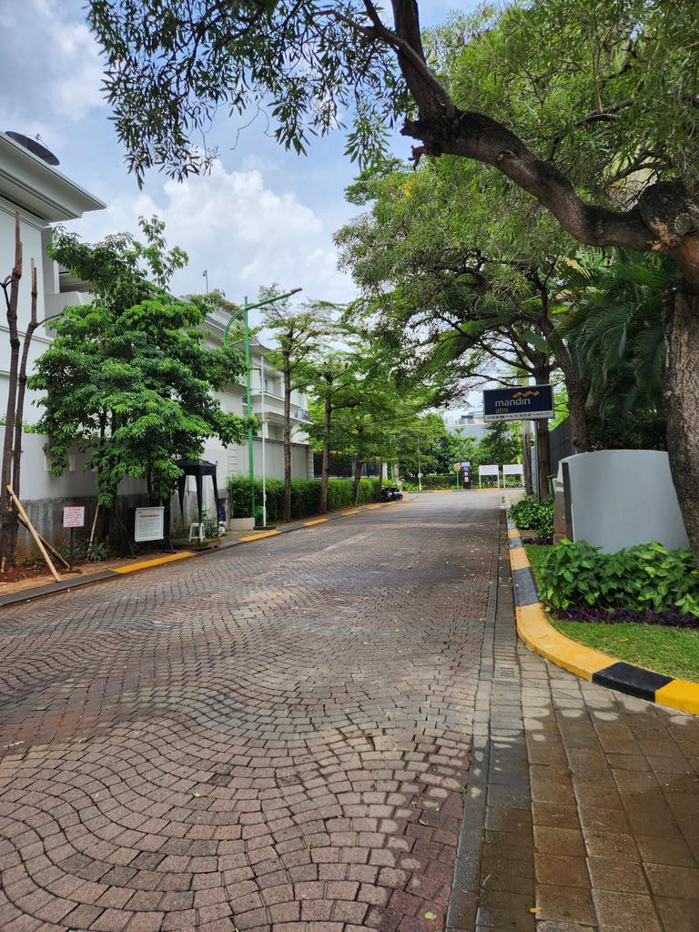 BILLY BOEN tweet media