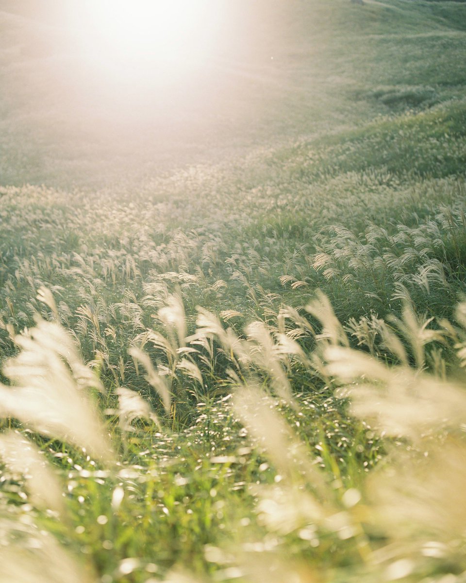 秋はあっという間に消えてしまう